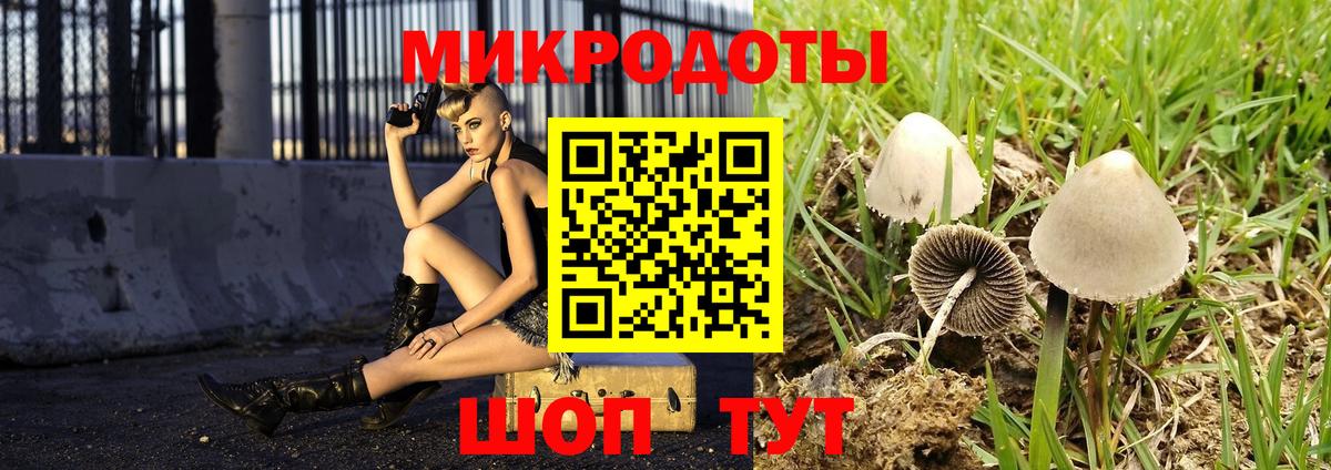 Галлюциногенные грибы Magic Shrooms  Вход с VPN  Оренбург  Псилоцибиновые грибы Magic Shrooms 