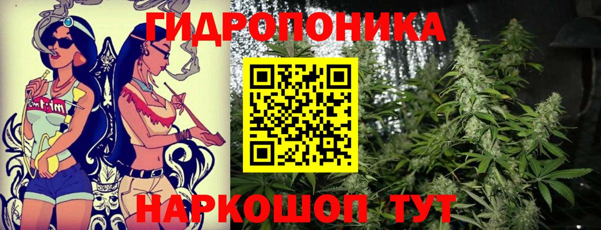 Оренбург  Бошки Шишки White Widow  Бошки марихуана семена  Каннабис конопля  Вход с VPN 